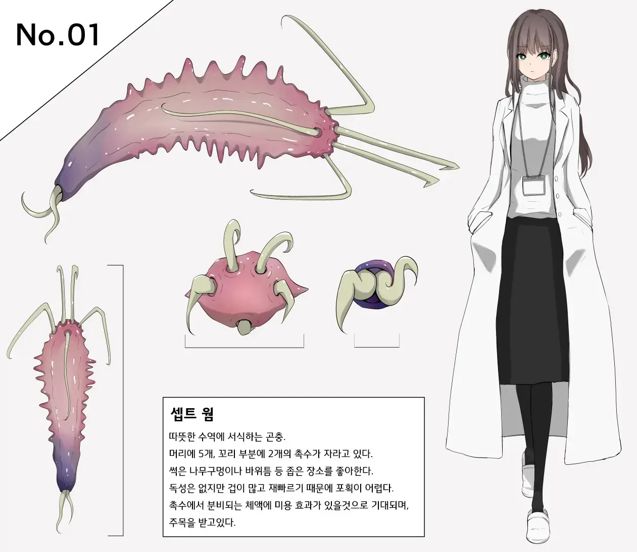 Insect Research Report
